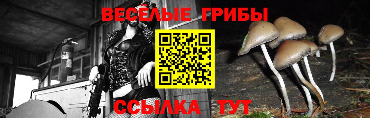 Арзамас  где продают   Галлюциногенные грибы Magic Shrooms  Вход с VPN  Псилоцибиновые грибы Psilocybe 